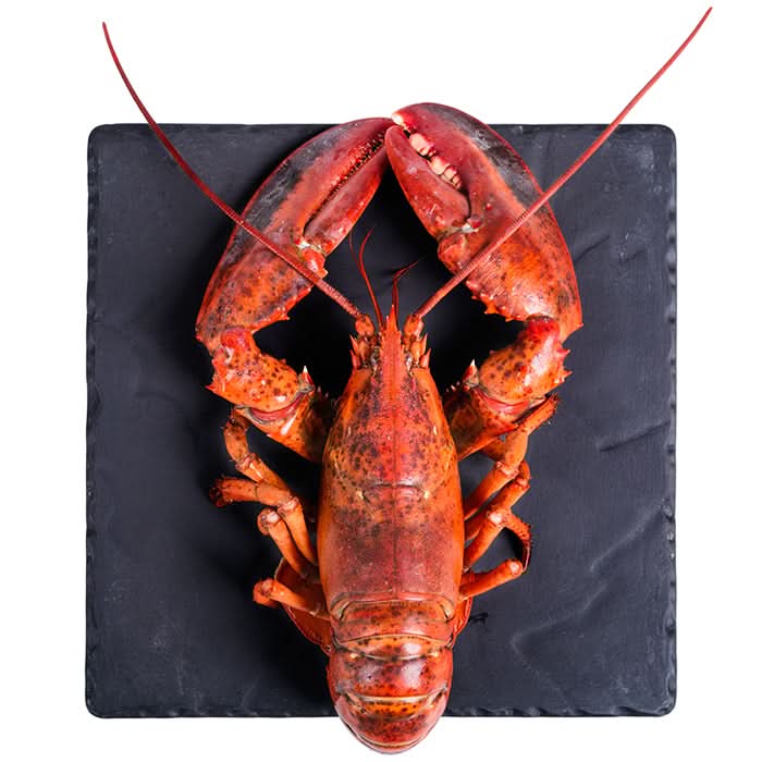 30.07.2026 | Lobster & Big Bottles | Käfer Bistro Außenterrasse