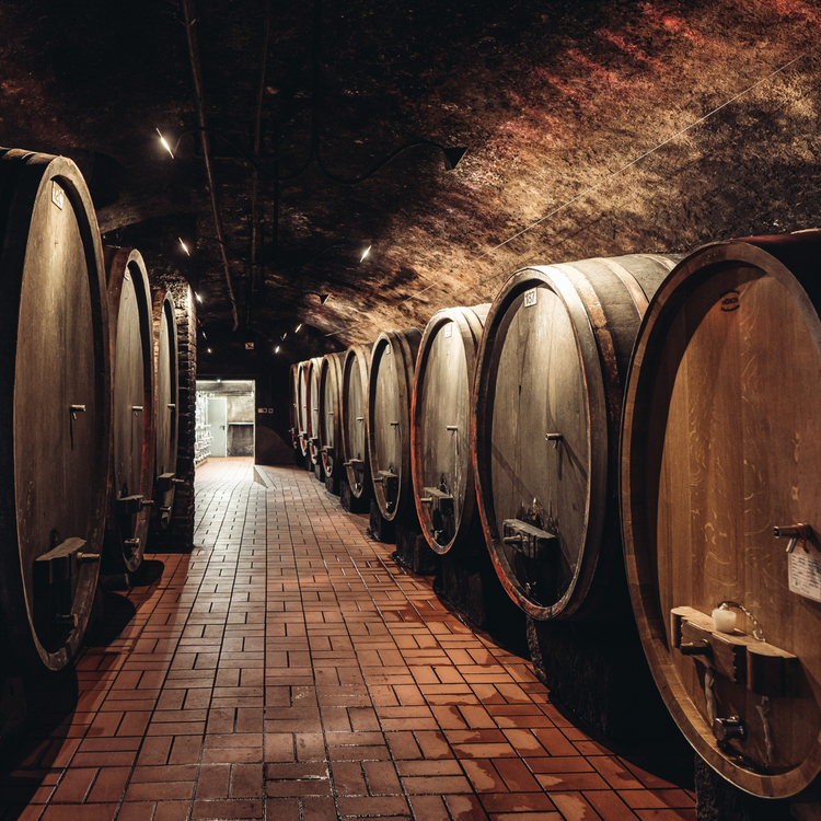 2024 Beethoven Riesling Charta, Rheingau, Deutschland
