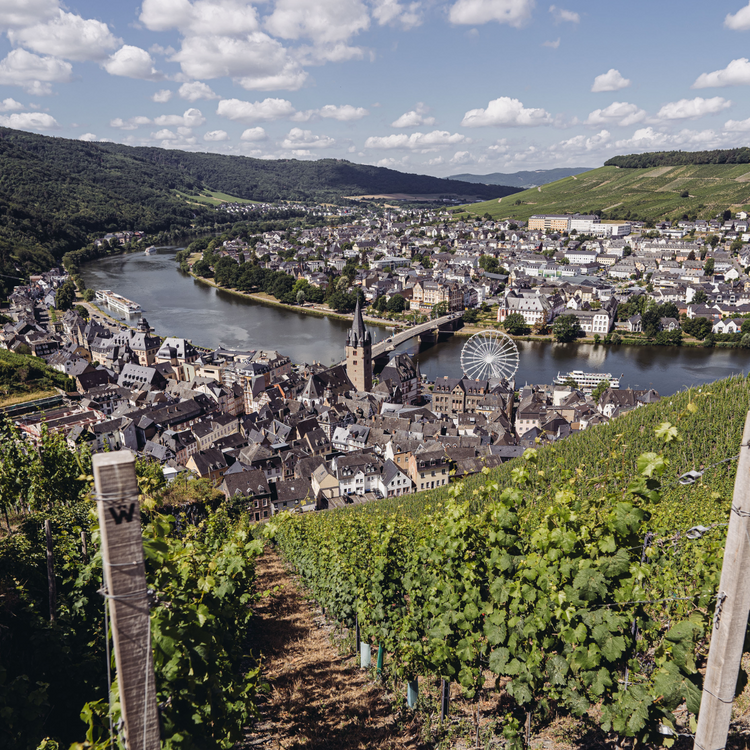 1953 Bernkasteler Doctor Riesling Spätlese, Mosel, Deutschland