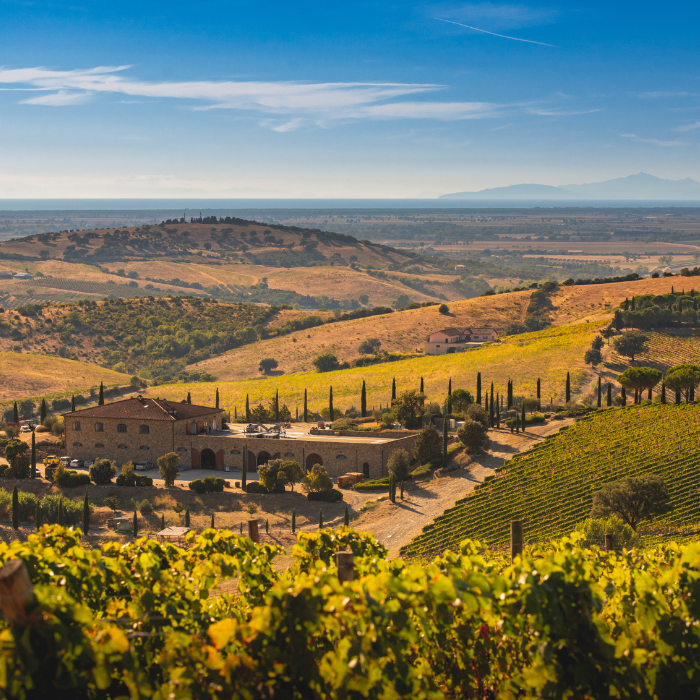 2020 Tre Brancaia Collection, Toskana, Italien
